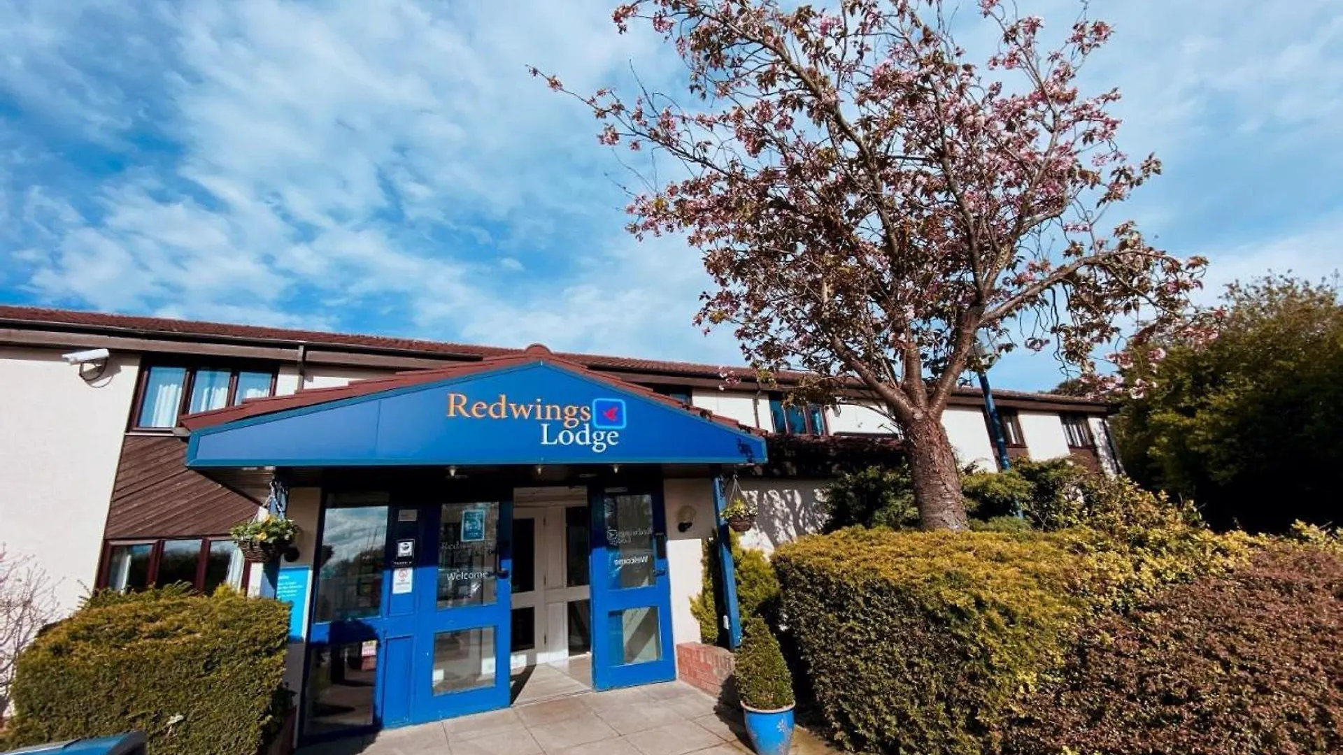 6 Budget Hotels Near North Harts Irish Centre Worth Booking