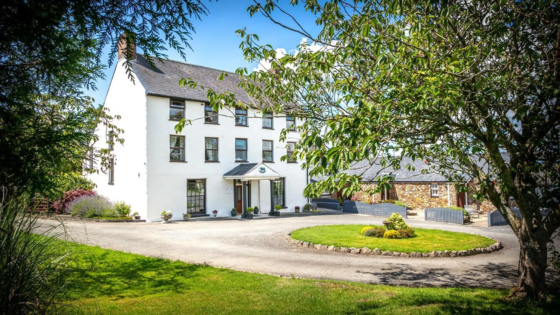 7 Best Budget Hotels in Dyfed for Smart Travellers
