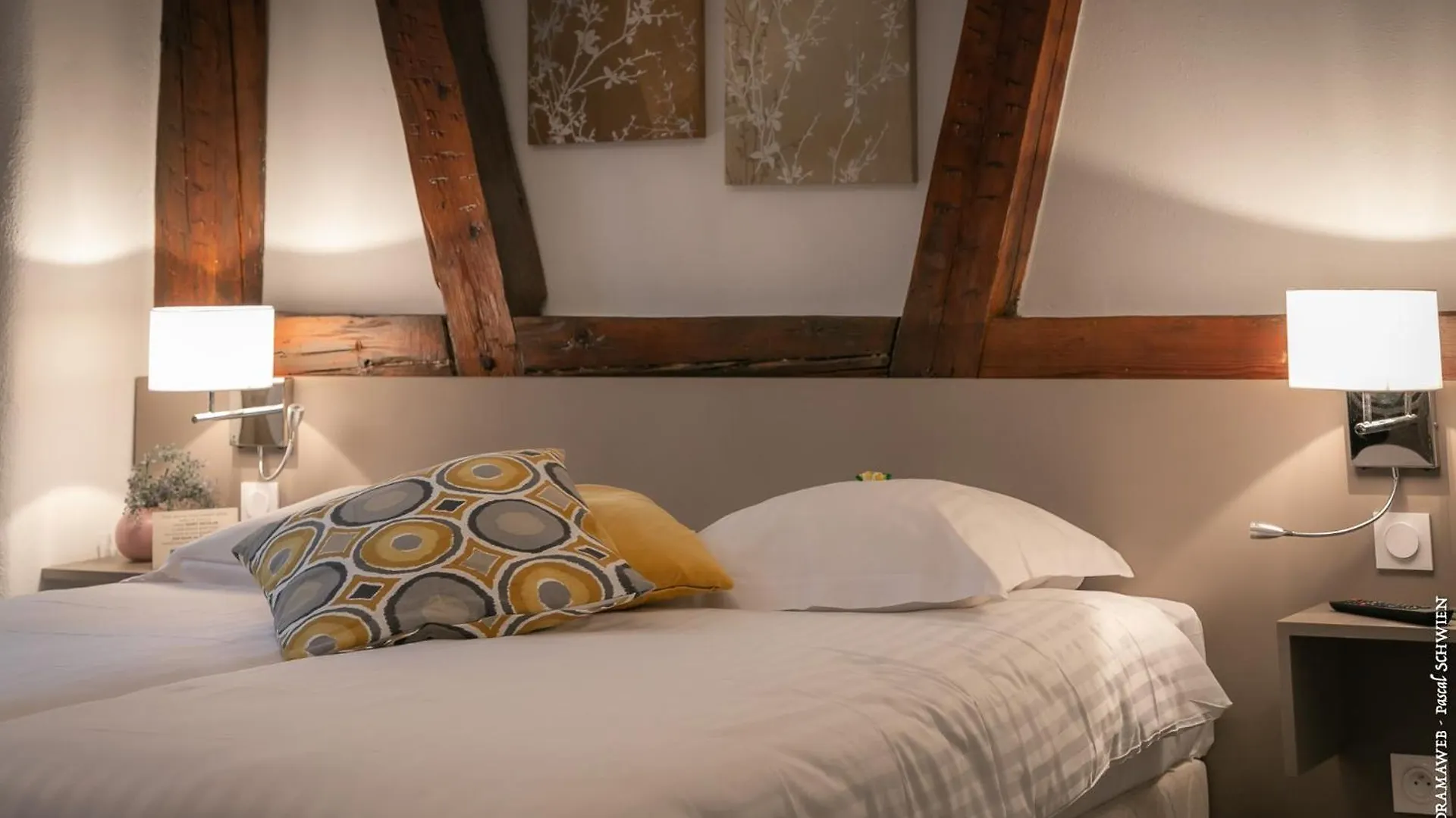 Where to Stay Near Colmar Expo: 4 Family Hotels Reviewed