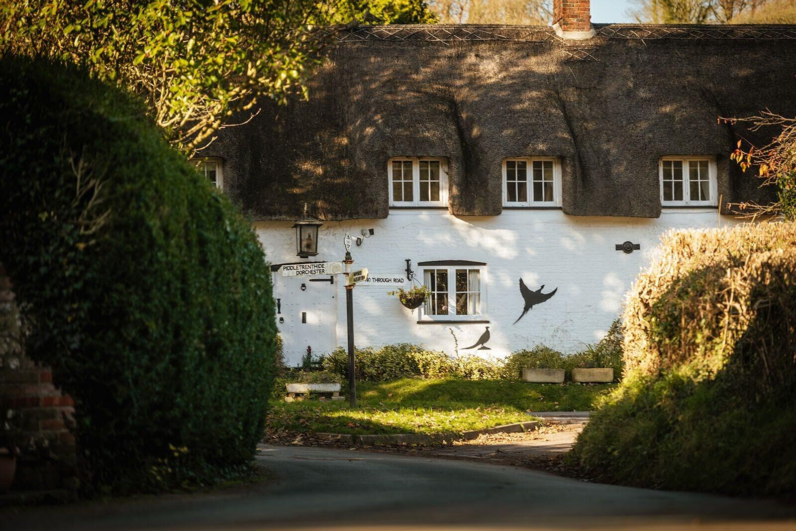 11 Central Hotels in Dorset That Deserve Your Attention